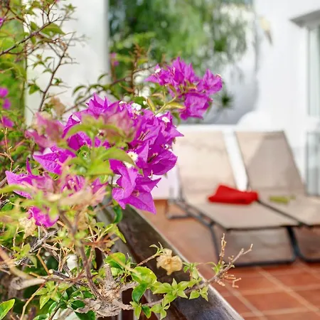 Casa Paz Ferienhaus *